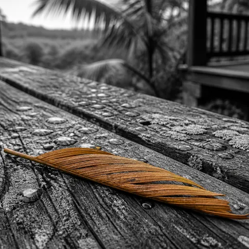 Shoulder season in Suriname: the September window when lodges empty and rates soften