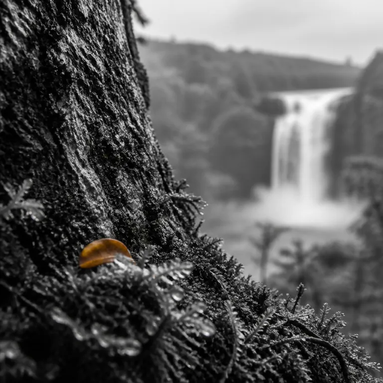 Blanche Marie Falls and the walk through Suriname's deepest rainforest: a 48-hour detour for the time-pressed